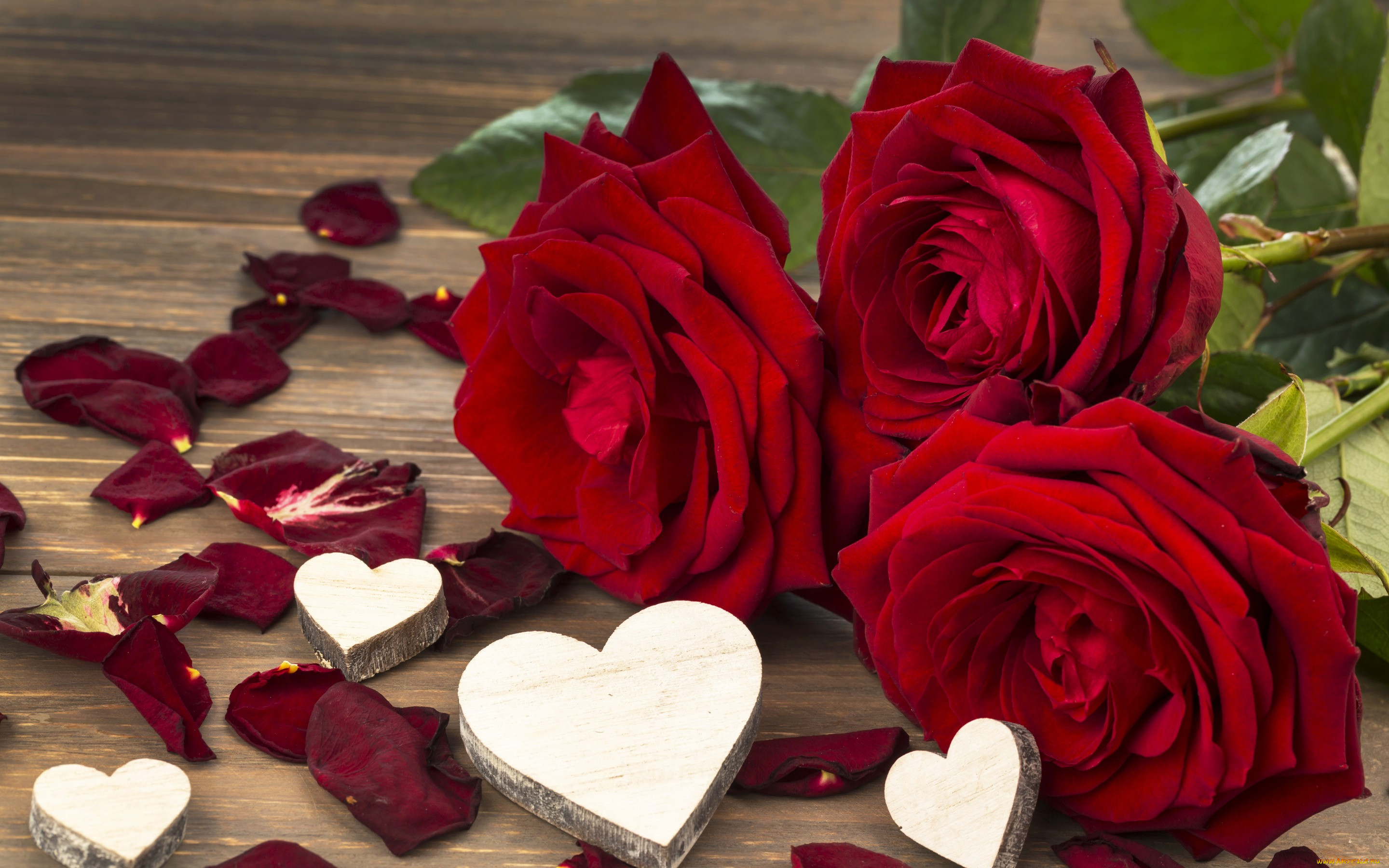 ,   ,  ,  , , , , , valentine's, day